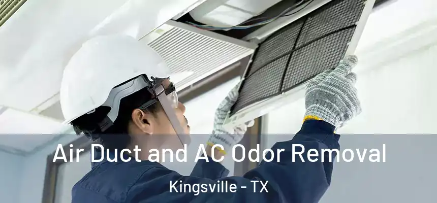  Air Duct and AC Odor Removal Kingsville - TX