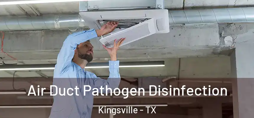  Air Duct Pathogen Disinfection Kingsville - TX