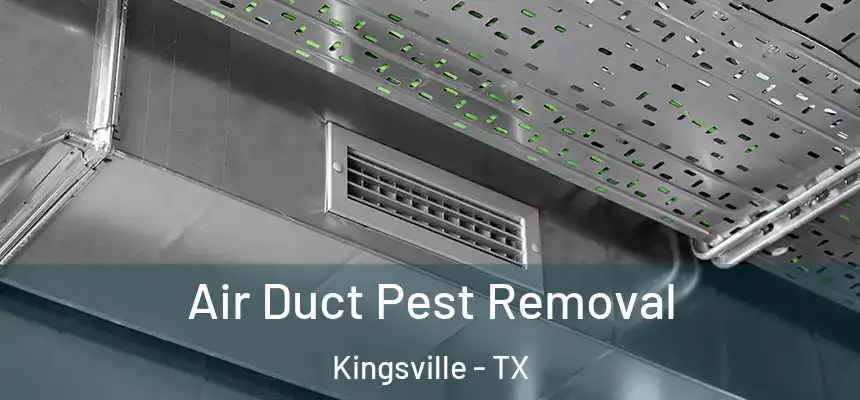 Air Duct Pest Removal Kingsville - TX