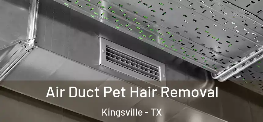  Air Duct Pet Hair Removal Kingsville - TX