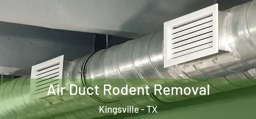 Air Duct Rodent Removal Kingsville - TX
