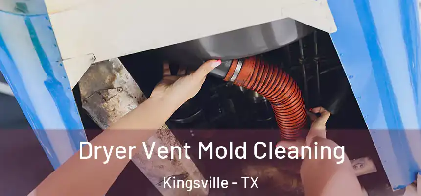  Dryer Vent Mold Cleaning Kingsville - TX