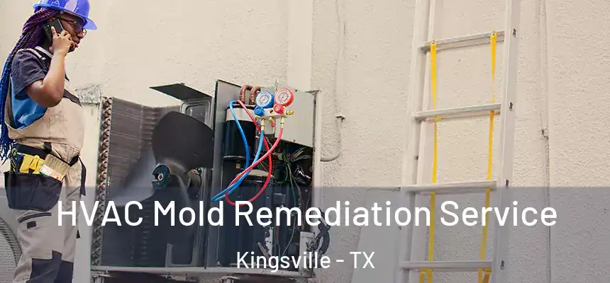  HVAC Mold Remediation Service Kingsville - TX