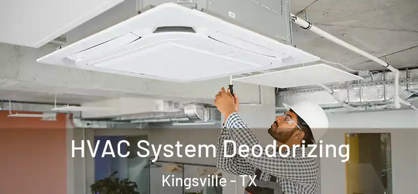  HVAC System Deodorizing Kingsville - TX