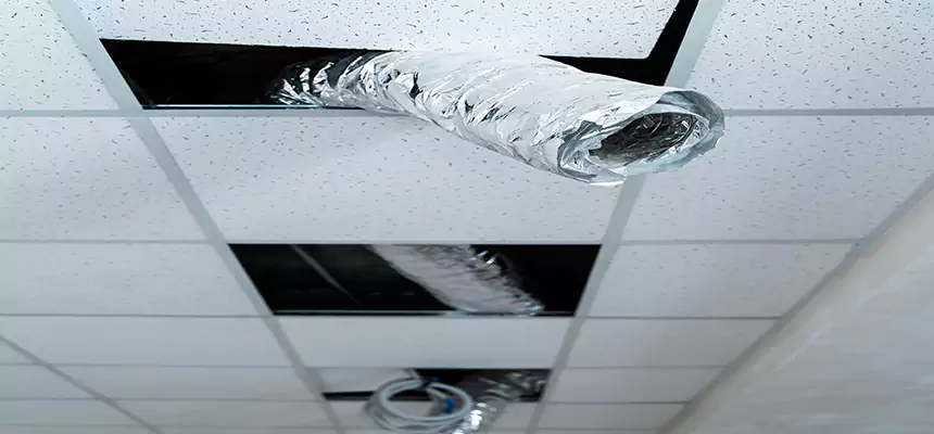 Our Air Duct Pet Hair Removal Services in Kingsville, TX