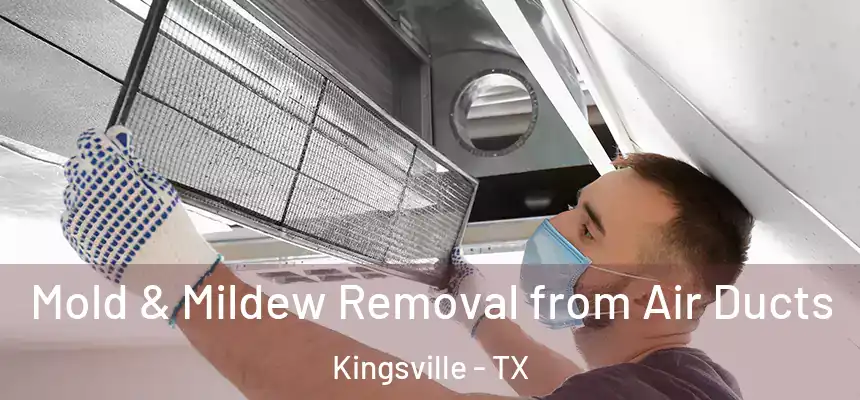  Mold & Mildew Removal from Air Ducts Kingsville - TX