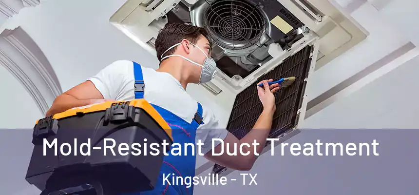 Mold-Resistant Duct Treatment Kingsville - TX