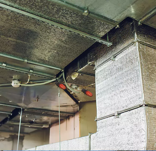 Why Homeowners & Businesses Trust Us in Kingsville, TX?