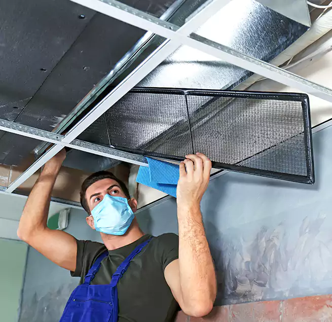 Why Homeowners Businesses Trust Us in Kingsville, TX