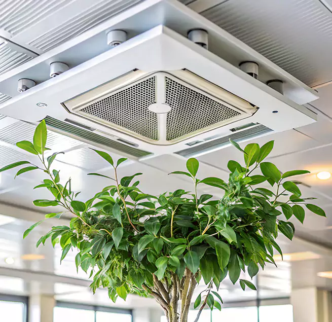 Why Homeowners & Businesses Trust Us in Kingsville, TX?